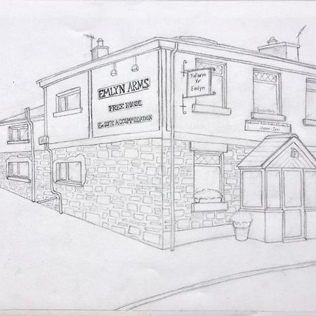 Bed and Breakfast Emlyn Arms Llanarthney Екстер'єр фото