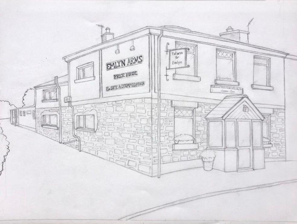 Bed and Breakfast Emlyn Arms Llanarthney Екстер'єр фото