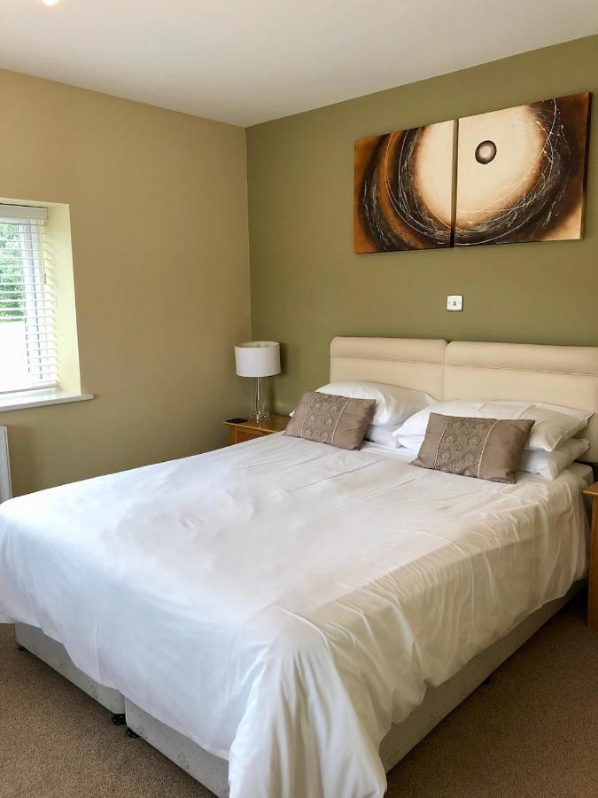 Bed and Breakfast Emlyn Arms Llanarthney Екстер'єр фото