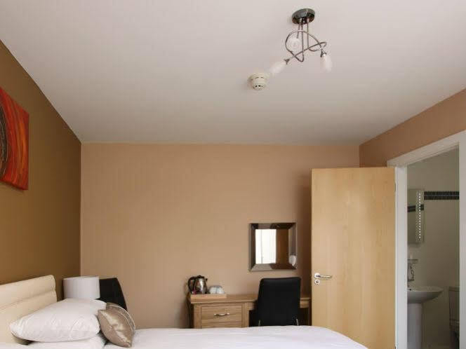 Bed and Breakfast Emlyn Arms Llanarthney Екстер'єр фото